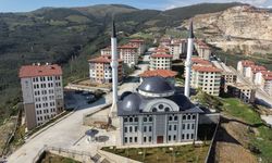 Bursa Gemlik'te yaşam başladı
