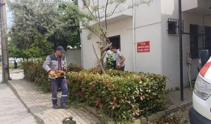 GÜRSU’DA KAMUSAL ALANLARDA YAZ IŞILTISI