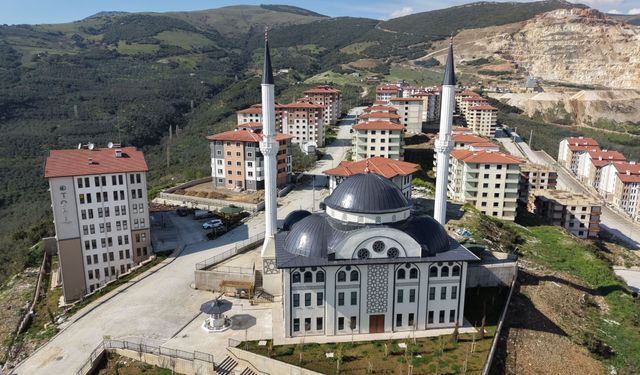Bursa Gemlik'te yaşam başladı